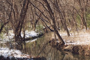 creek-1