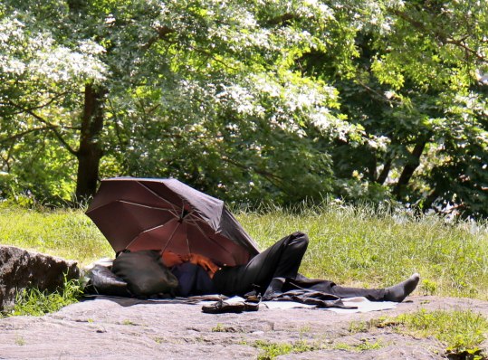 centralparkhomeless-6998