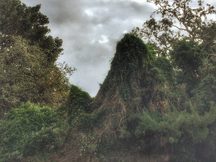 FullSizeRender 67.jpg