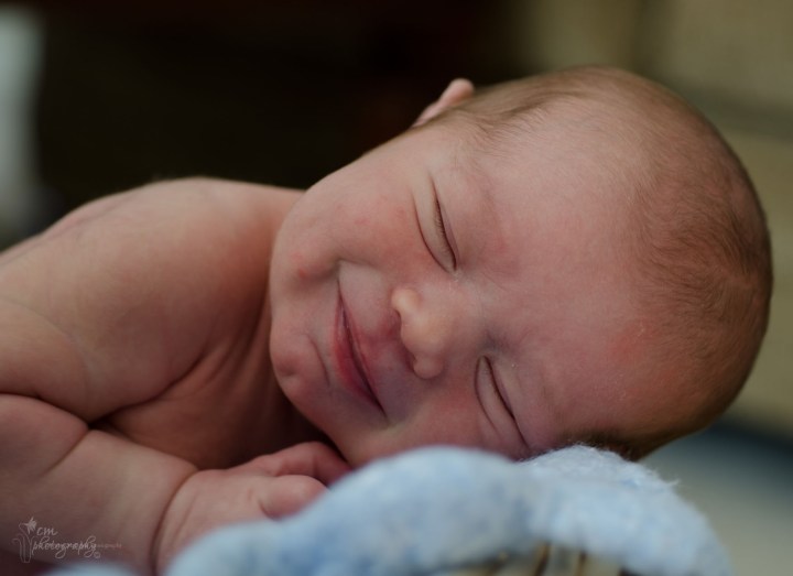 Starling Small32 (1).jpg